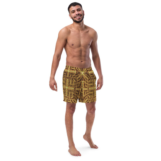 Hyperr Brown Dragon Shorts - Mat Dragon - Shorts - 2XS